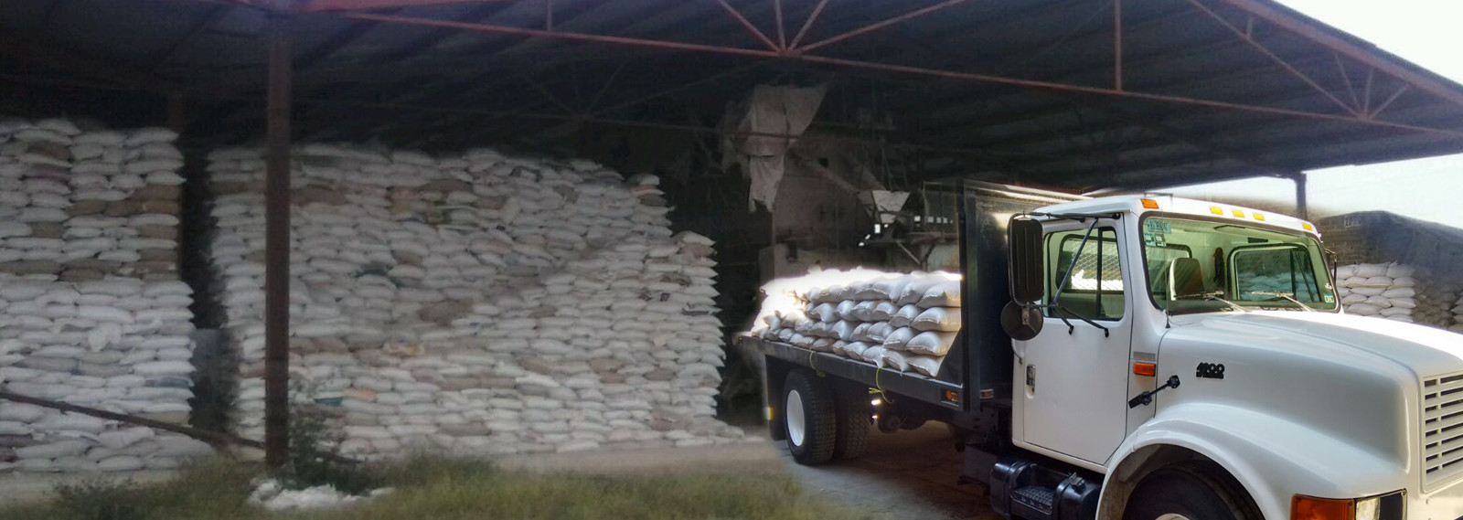 Imagen Arena Sílica