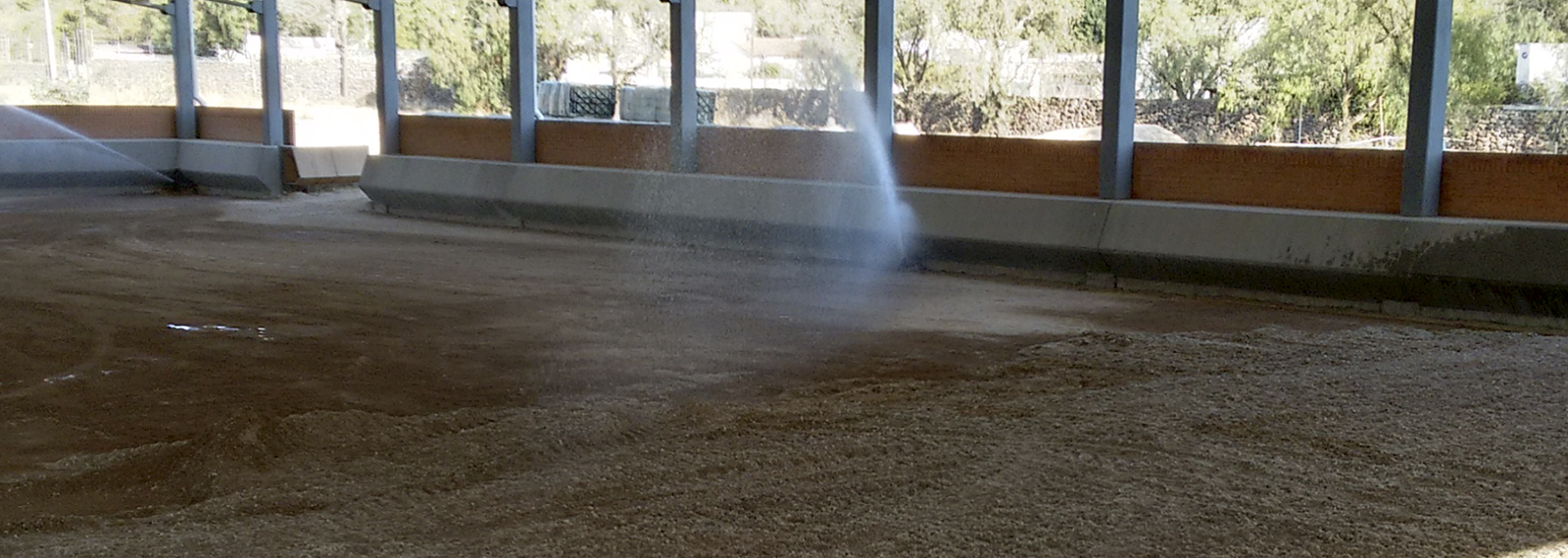 Imagen Arena Sílica para caballos